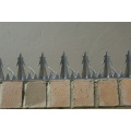 Hot Sale et Popular Wall Spike Security